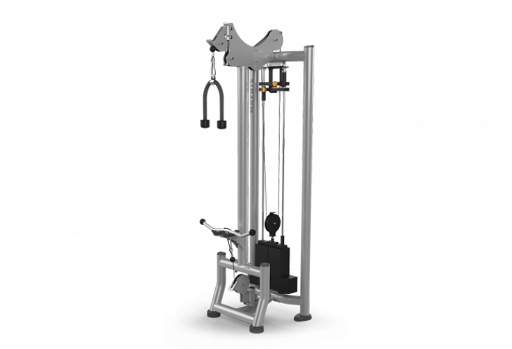 Picture of MAGNUM SERIES Biceps / Triceps MG-947 Station