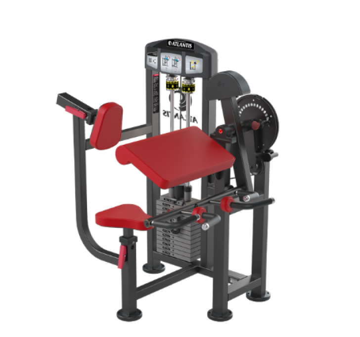 Picture of BICEPS - TRICEPS COMBO MACHINE