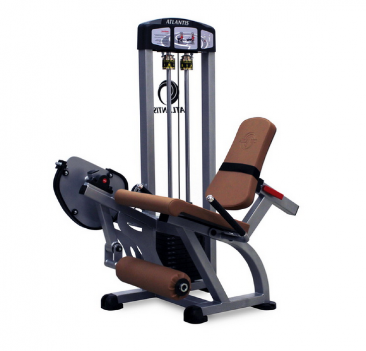Picture of Performance Series Leg Extension PES1020