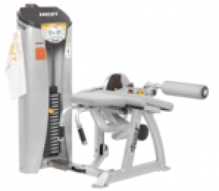 Picture of Prone Leg Curl - RS-1408