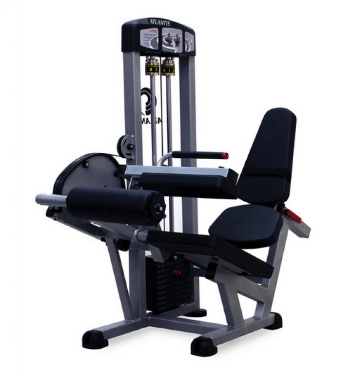 Picture of Performance Series Seated Leg Curl PES1040