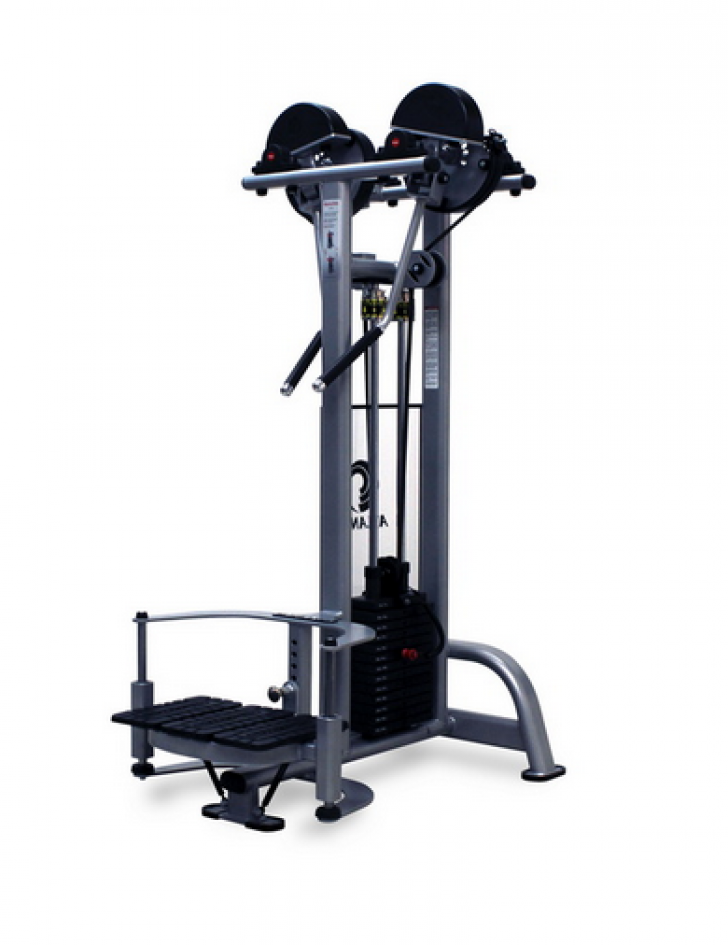 Picture of Precision Series Standing Lateral Raise PRS4030