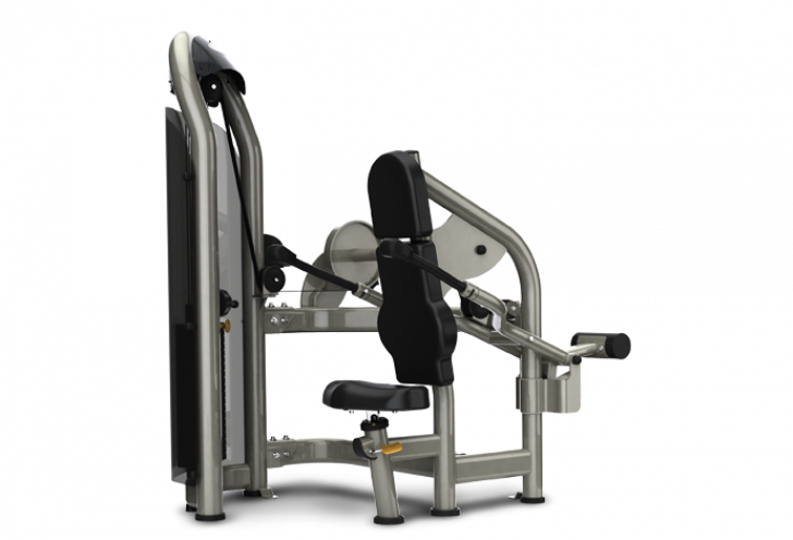 Picture of Triceps Press G3-S42