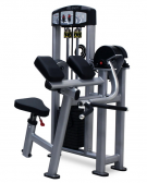 Picture of Precision Series Biceps Curl - PRS6010