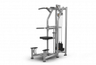 Picture of MAGNUM SERIES Dip / Chin Assist MG-937 Station