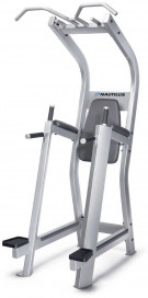 Picture of Nautilus Chin Dip Leg Raise