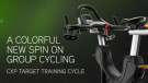 Picture of CXC Training Cycle