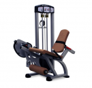 Picture of Performance Series Leg Extension PES1020