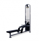 Picture of Precision Series Low Row PRS9070