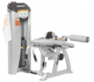 Picture of Prone Leg Curl - RS-1408